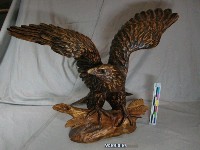 藏品(老鷹)的圖片